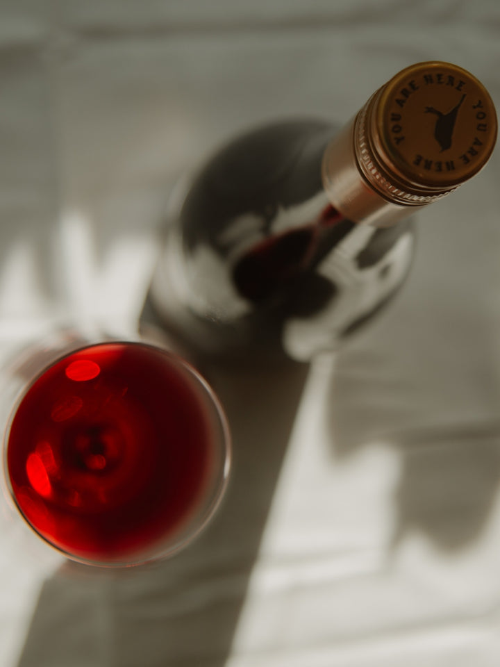 Best Blocks Shiraz 2023