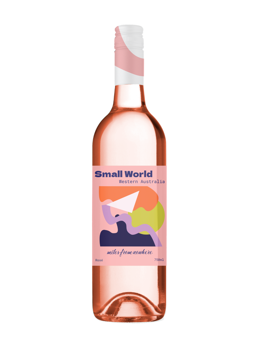 Small World Rose 2025